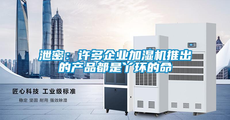 泄密:許多企業(yè)加濕機(jī)推出的產(chǎn)品都是丫環(huán)的命