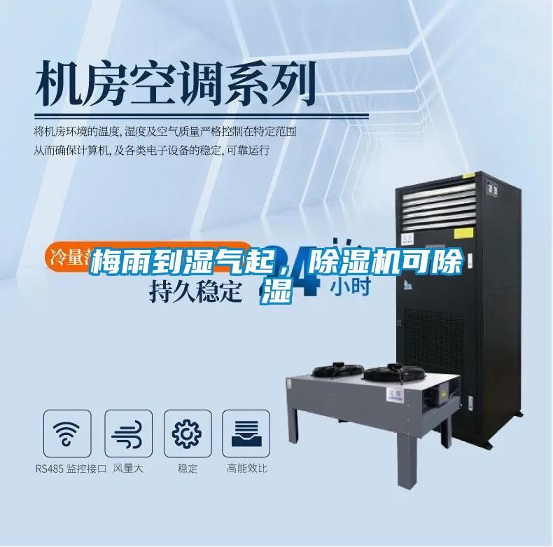 梅雨到濕氣起,除濕機可除濕