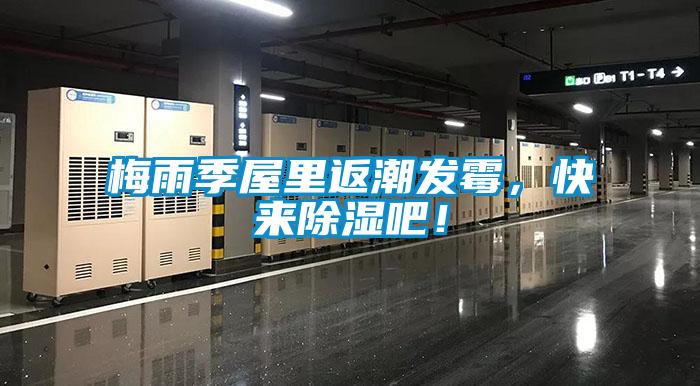 梅雨季屋里返潮發霉，快來除濕吧！