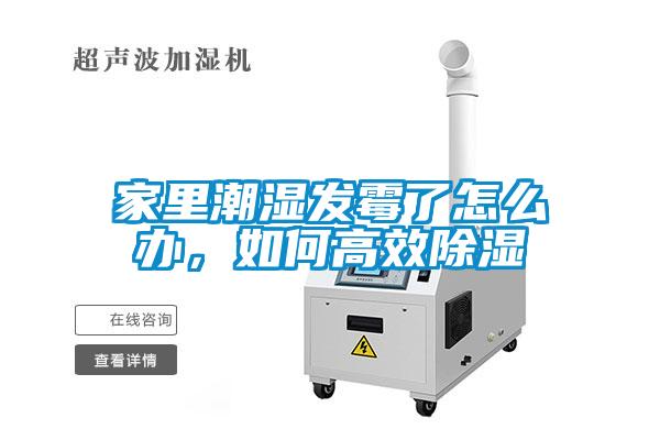 家里潮濕發霉了怎么辦,如何高效除濕
