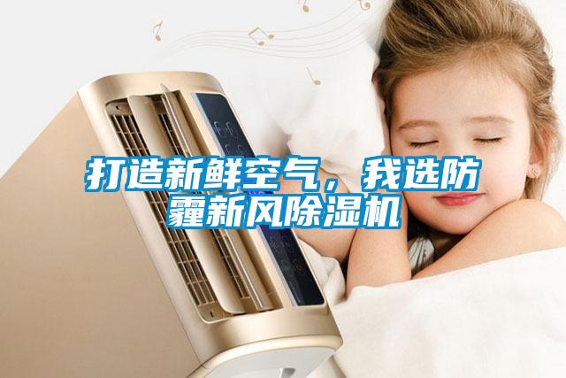 打造新鮮空氣,我選防霾新風除濕機