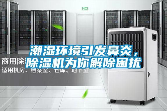 潮濕環(huán)境引發(fā)鼻炎,除濕機(jī)為你解除困擾