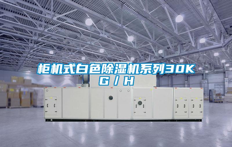柜機式白色除濕機系列30KG/H