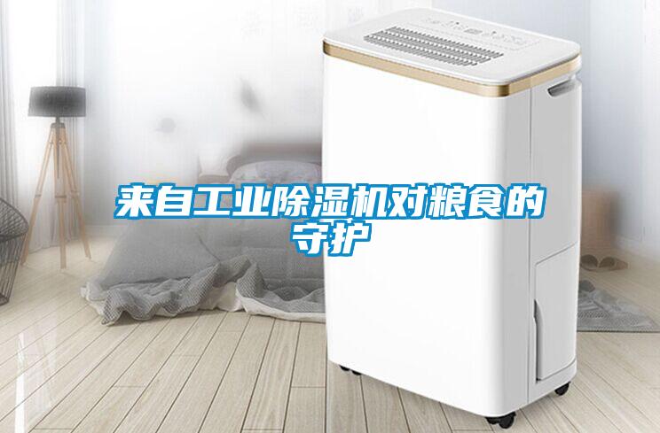 來自工業(yè)除濕機(jī)對糧食的守護(hù)