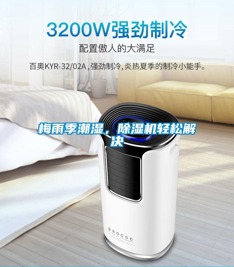 梅雨季潮濕,除濕機輕松解決