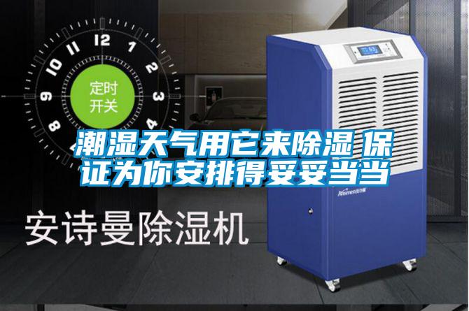 潮濕天氣用它來除濕 保證為你安排得妥妥當當