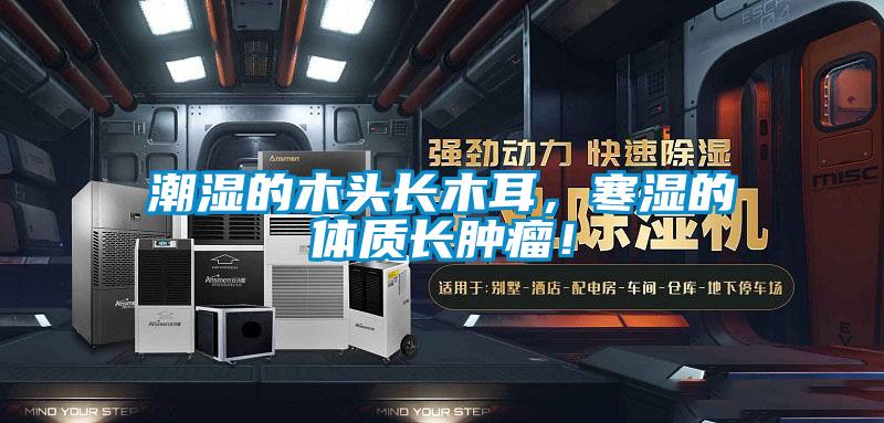 潮濕的木頭長木耳,寒濕的體質(zhì)長腫瘤!