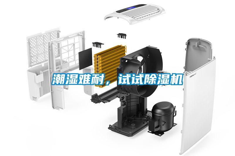 潮濕難耐，試試除濕機