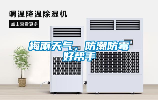 梅雨天氣，防潮防霉好幫手