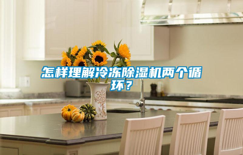 怎樣理解冷凍除濕機兩個循環?