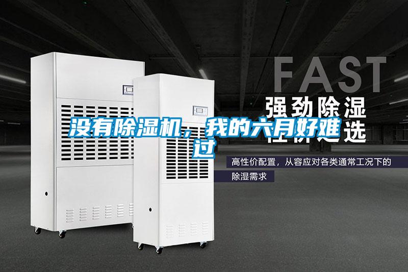 沒有除濕機,我的六月好難過