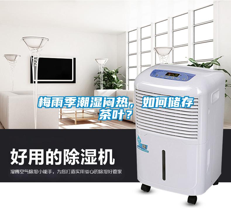梅雨季潮濕悶熱,如何儲(chǔ)存茶葉?