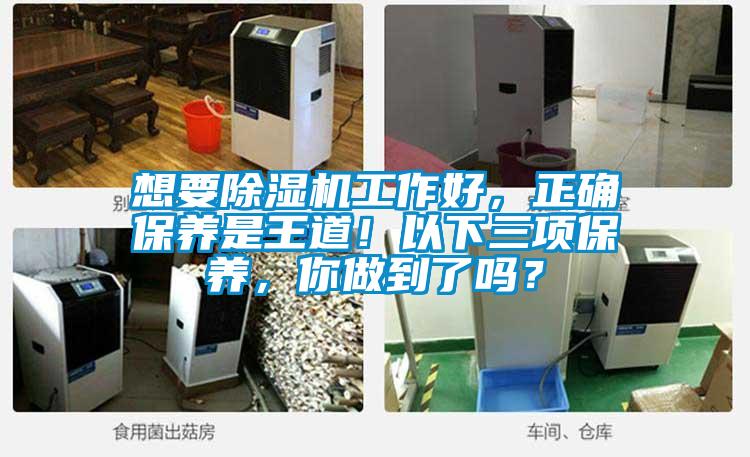 想要除濕機(jī)工作好,正確保養(yǎng)是王道!以下三項(xiàng)保養(yǎng),你做到了嗎?