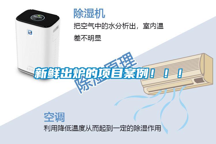 新鮮出爐的項目案例!!!