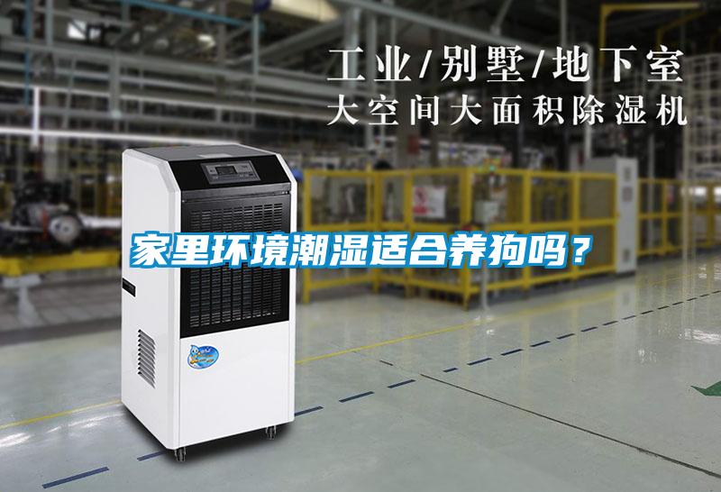 家里環境潮濕適合養狗嗎?