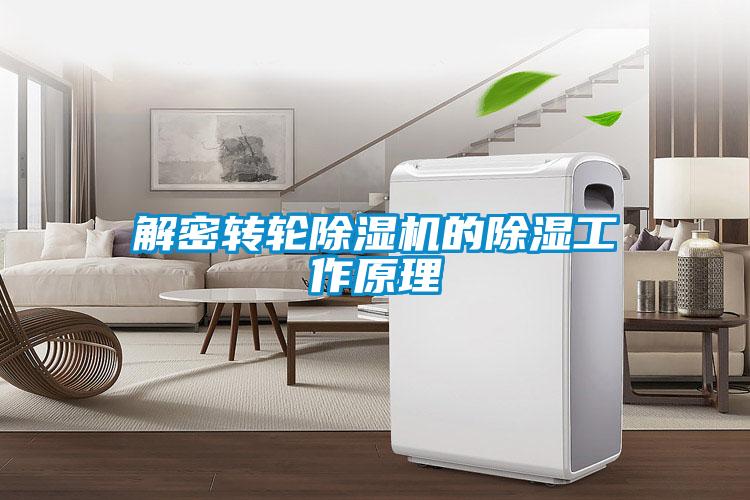 解密轉(zhuǎn)輪除濕機的除濕工作原理