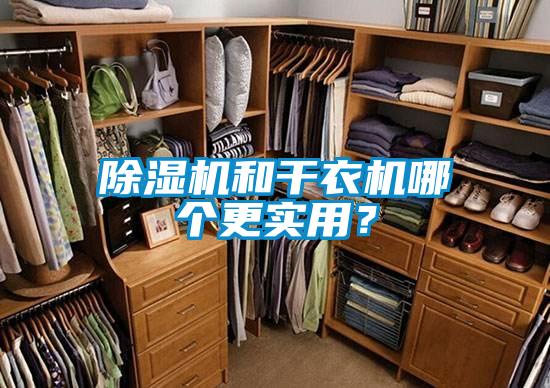 除濕機(jī)和干衣機(jī)哪個(gè)更實(shí)用?