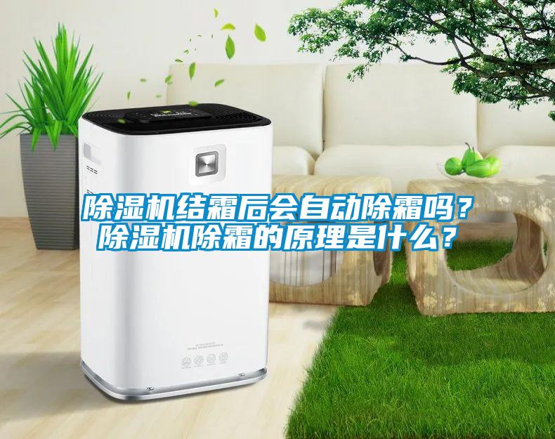 除濕機結霜后會自動除霜嗎？除濕機除霜的原理是什么？