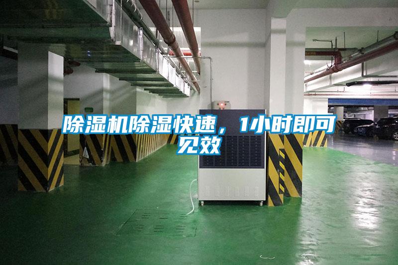 除濕機除濕快速，1小時即可見效