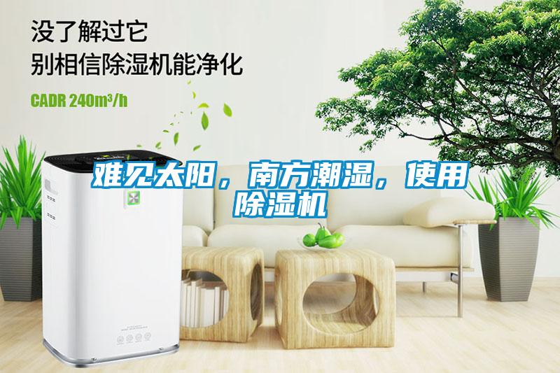 難見太陽,南方潮濕,使用除濕機