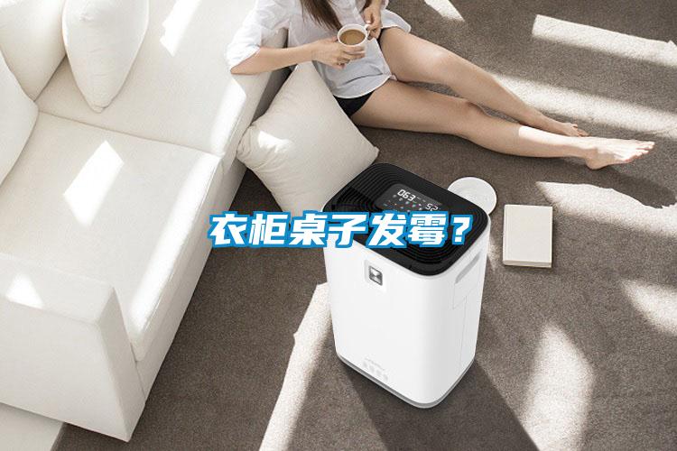 衣柜桌子發霉?