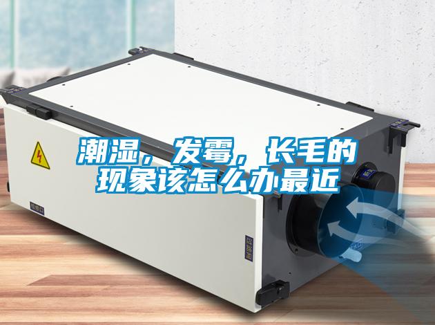 潮濕，發(fā)霉，長(zhǎng)毛的現(xiàn)象該怎么辦最近