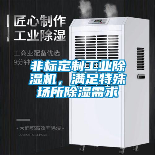 非標(biāo)定制工業(yè)除濕機(jī)，滿足特殊場所除濕需求