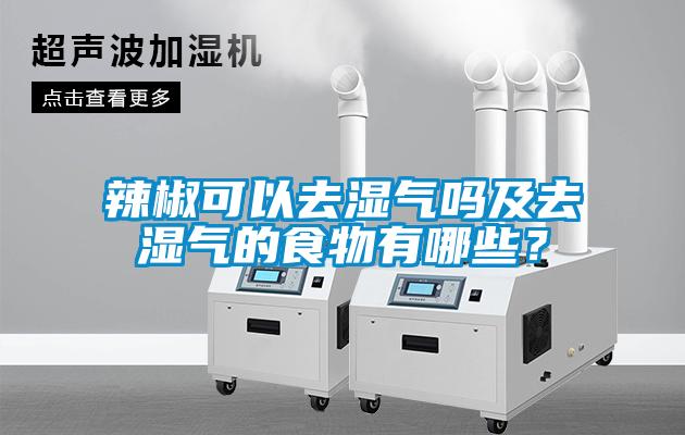 辣椒可以去濕氣嗎及去濕氣的食物有哪些?