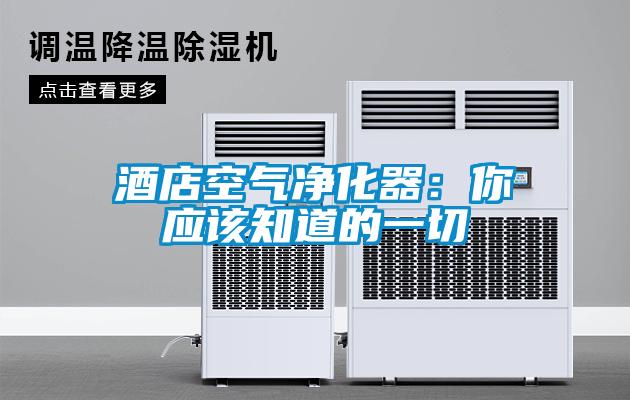 酒店空氣凈化器:你應該知道的一切