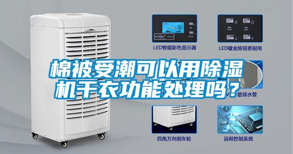 棉被受潮可以用除濕機干衣功能處理嗎?