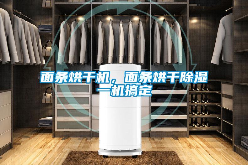 面條烘干機，面條烘干除濕一機搞定