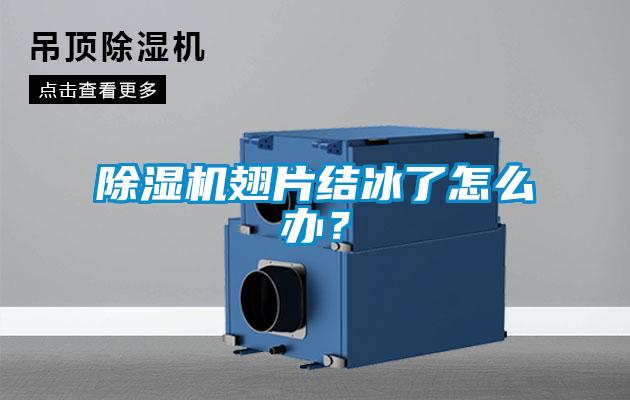 除濕機(jī)翅片結(jié)冰了怎么辦？