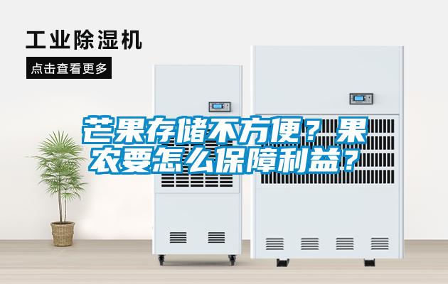 芒果存儲不方便？果農要怎么保障利益？