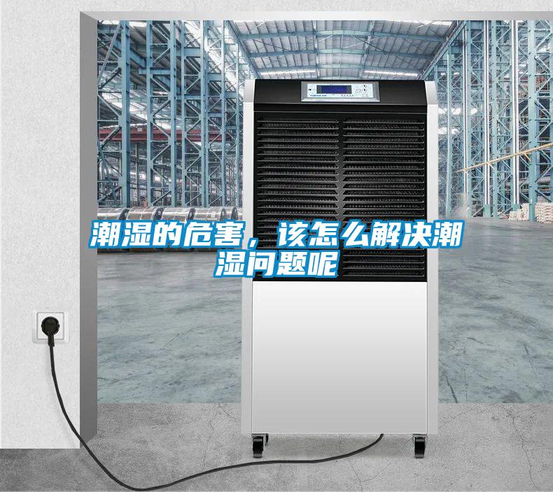 潮濕的危害，該怎么解決潮濕問題呢
