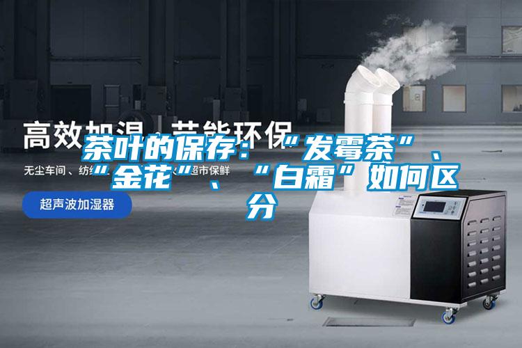 茶葉的保存：“發霉茶”、“金花”、“白霜”如何區分