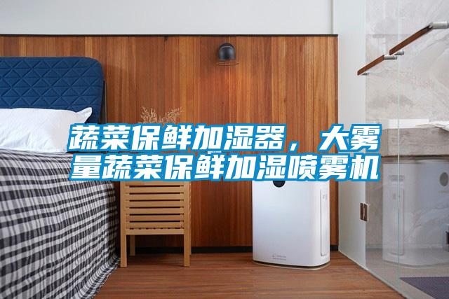 蔬菜保鮮加濕器，大霧量蔬菜保鮮加濕噴霧機