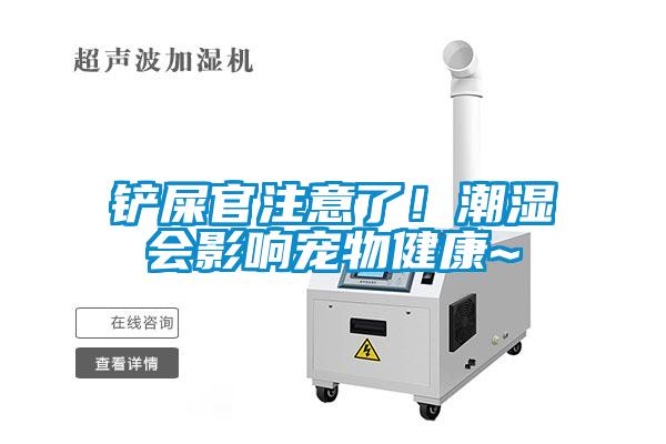 鏟屎官注意了！潮濕會影響寵物健康~