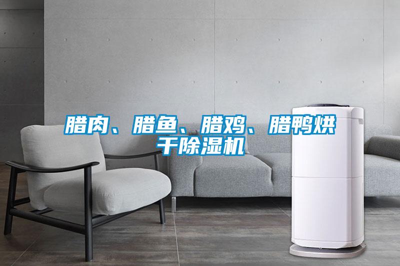臘肉、臘魚、臘雞、臘鴨烘干除濕機(jī)