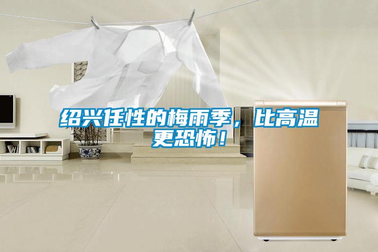 紹興任性的梅雨季，比高溫更恐怖！