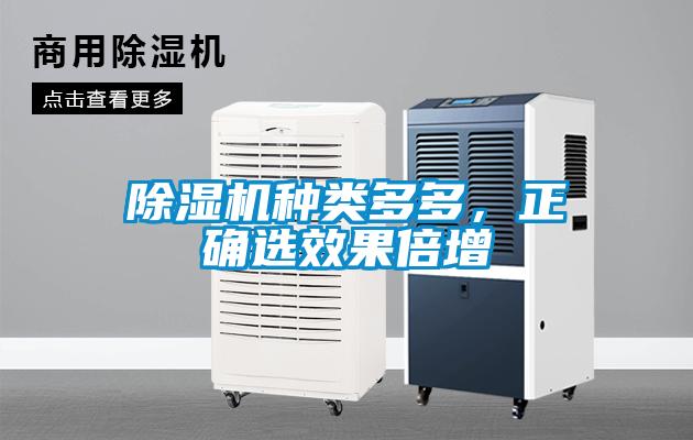 除濕機種類多多，正確選效果倍增