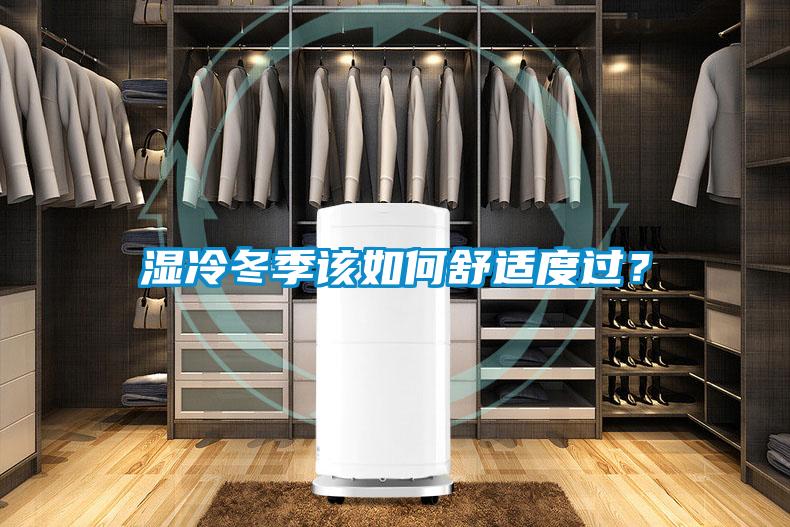 濕冷冬季該如何舒適度過？