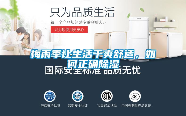 梅雨季讓生活干爽舒適，如何正確除濕