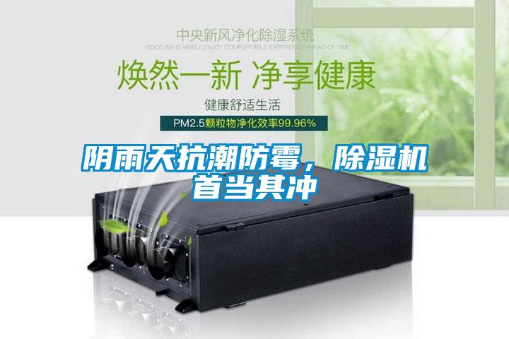 陰雨天抗潮防霉,除濕機(jī)首當(dāng)其沖