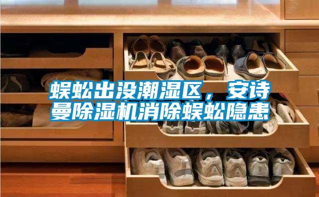 蜈蚣出沒潮濕區(qū),安詩曼除濕機(jī)消除蜈蚣隱患