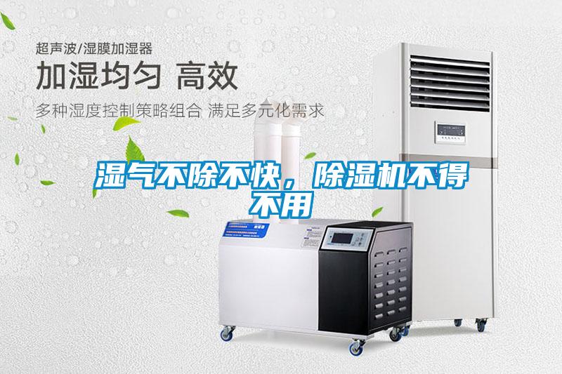 濕氣不除不快,除濕機不得不用