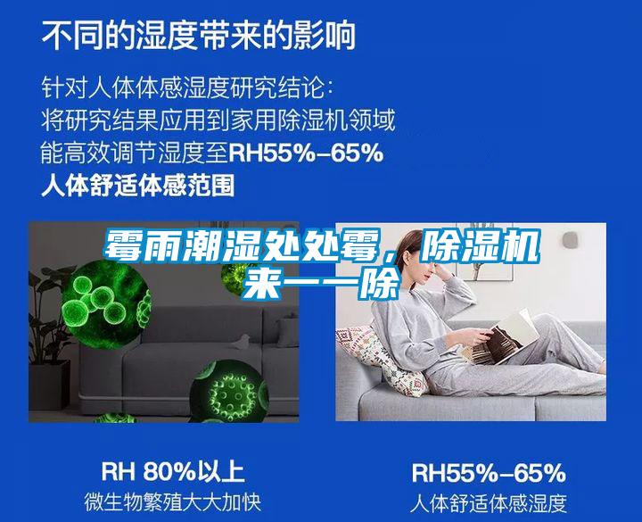霉雨潮濕處處霉，除濕機(jī)來(lái)一一除