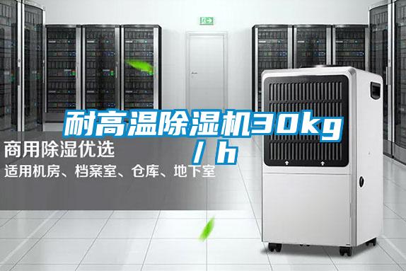 耐高溫除濕機(jī)30kg/h