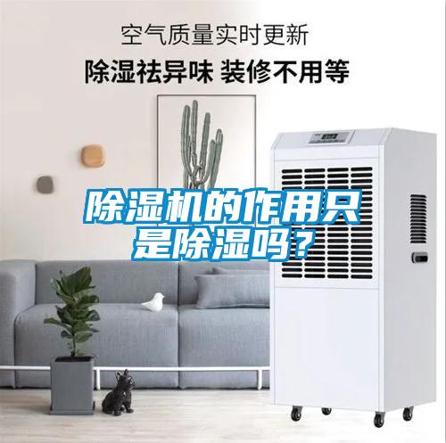 除濕機的作用只是除濕嗎？