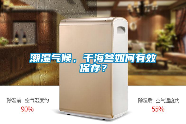 潮濕氣候,干海參如何有效保存?