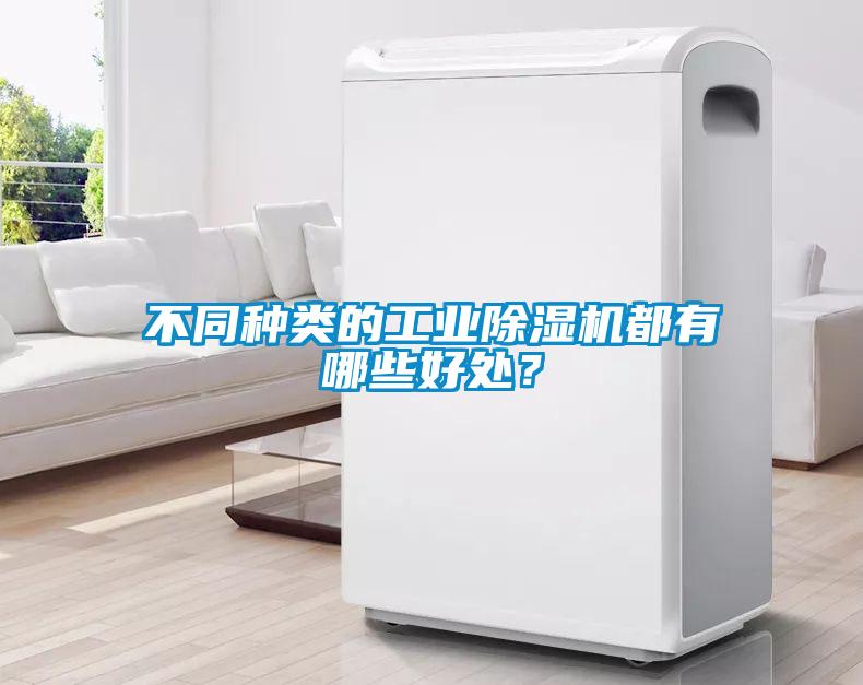 不同種類的工業除濕機都有哪些好處？
